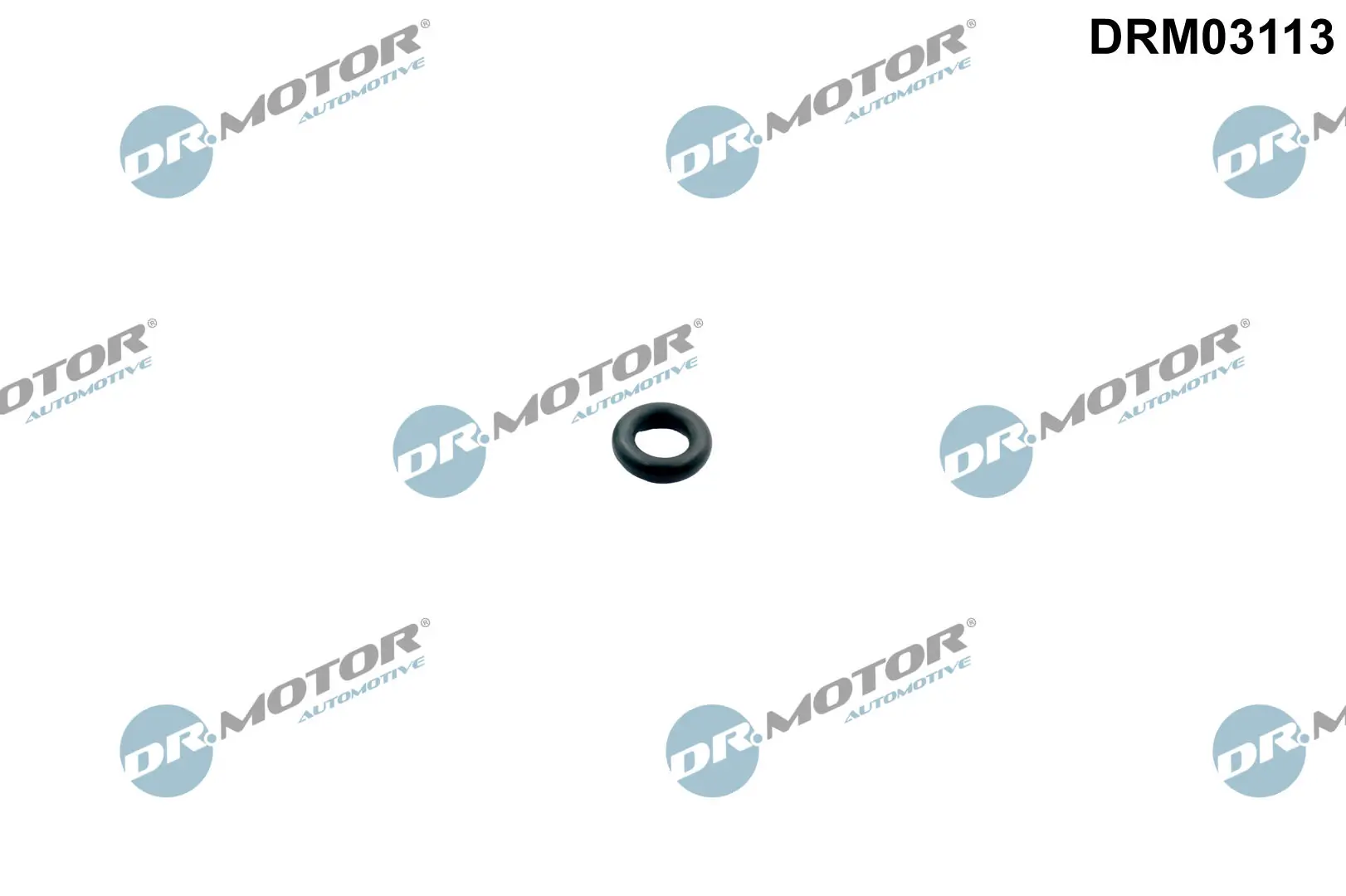 Seal Ring, injector